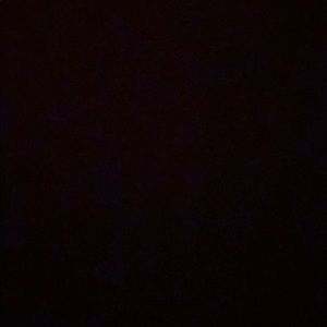 Meet your Posher, Madeline